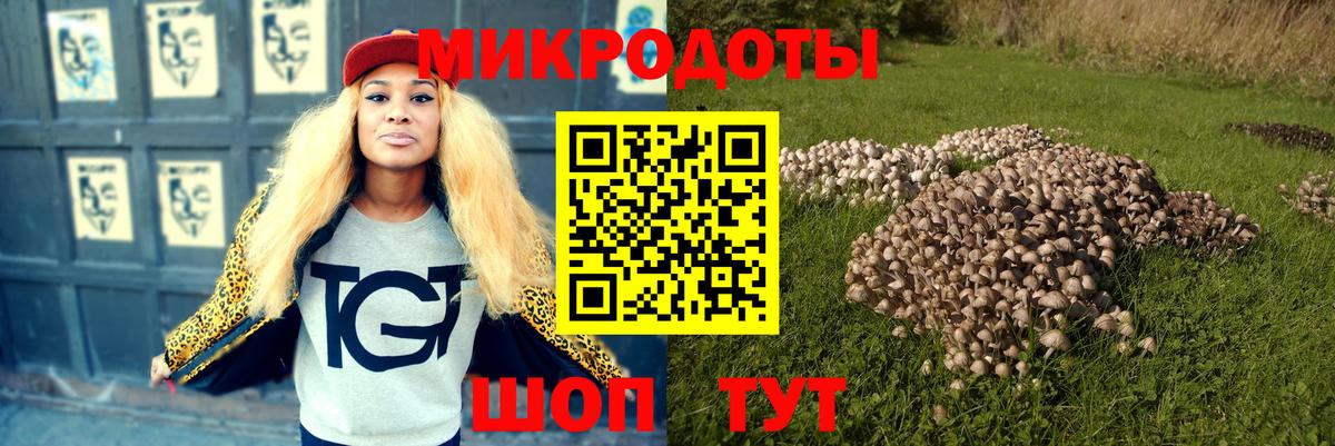 Галлюциногенные грибы Psilocybine cubensis  Вход с VPN  Псилоцибиновые грибы мухоморы  Владикавказ 